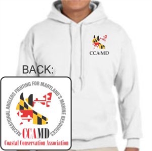 Picture of CCAMD - Hoodie
