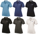 Picture of BL - Men's & Ladies' PosiCharge® Micro-Mesh Polo